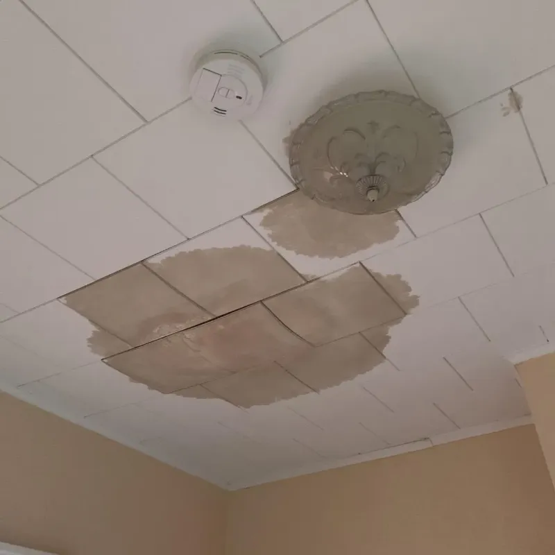 Ceiling Water Damage Repair in Titus County, TX