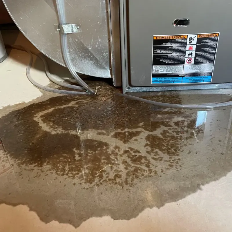 Pipe Burst and Leak Restoration in Titus County, TX