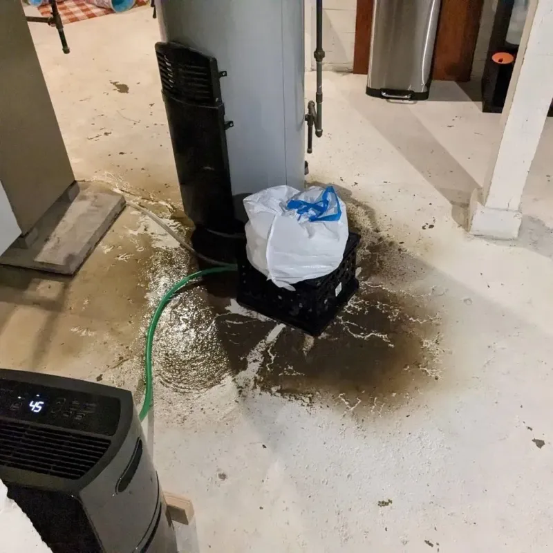 Sewage Backup Cleanup Service in Titus County, TX